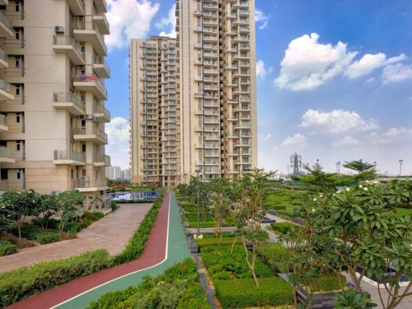 Conscient-Heritage-Max-6