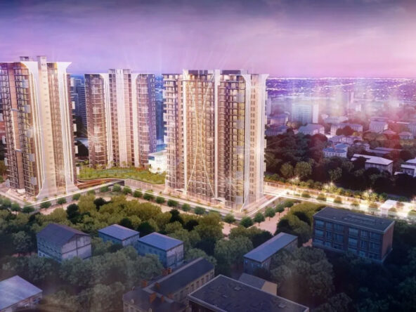 Oxirich-Chintamani-3